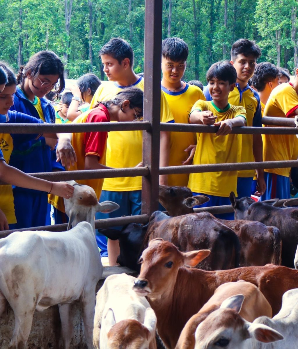 20230909023956_IMG_5846-01_Original